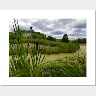 Bulrushes Posters and Art